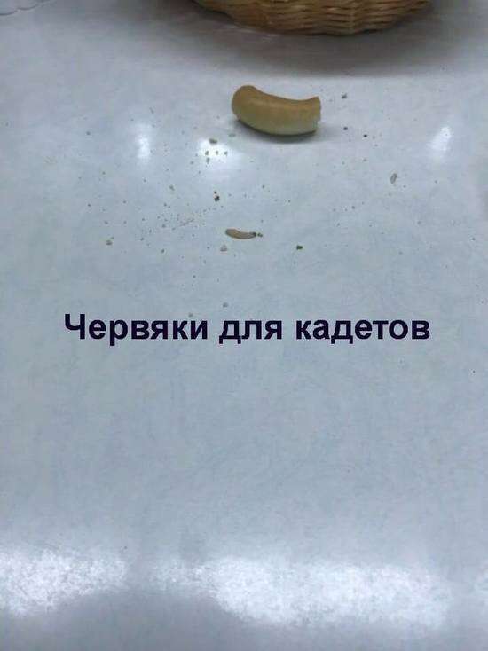 Беспозвоночные, от сушек до Светланы Маковской Беспозвоночные, от сушек до Светланы Маковской adciak2im2ie2 qzeihxiqxieevls