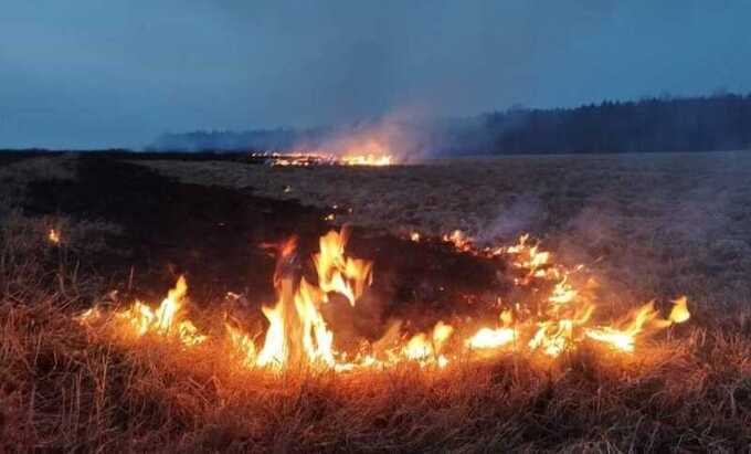 В Ростовской области начался крупный пожар