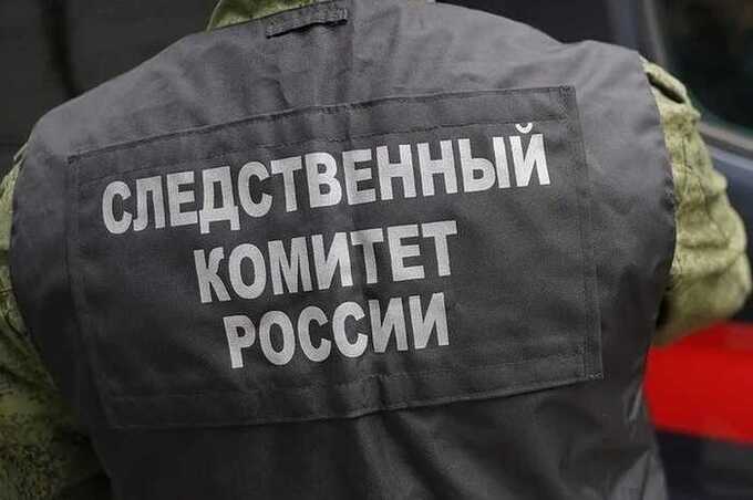 Следственный комитет начал проверку по делу сотрудника УФСБ и экс-руководителя «Роснано»