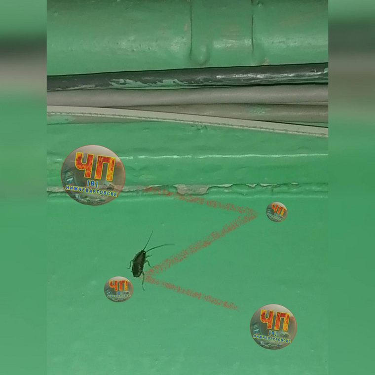 uriqzeiqqiuhkrt hxiqdziqkhidekvls